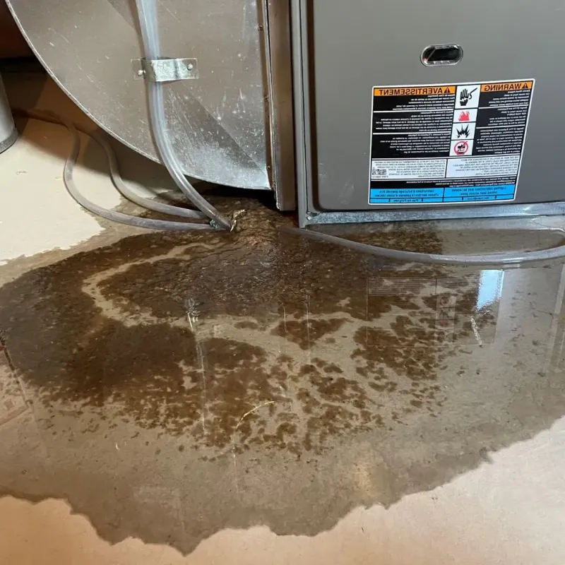 Pipe Burst and Leak Restoration in Sharon Hill, PA